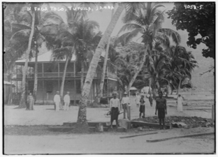 A picture containing text, tree, old, posing

Description automatically generated