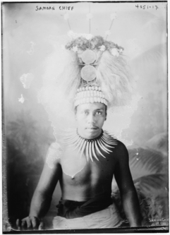 A person wearing a large headdress

Description automatically generated