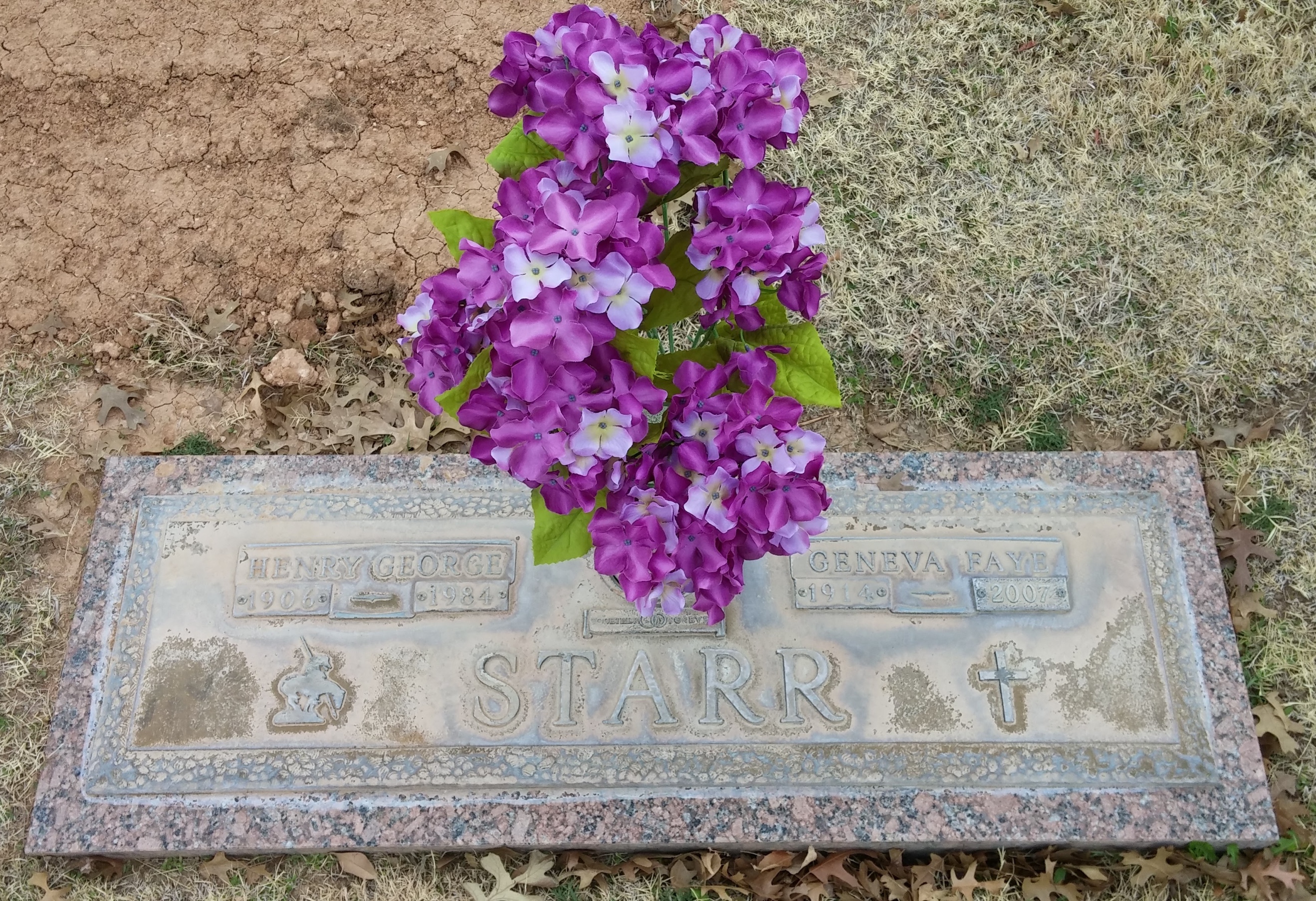 Purple flowers on a grave  Description automatically generated with low confidence
